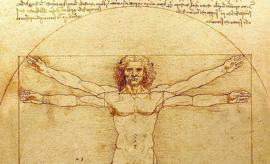 The Vitruvian Man by Leonardo Da Vinci